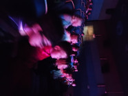 Koncert
