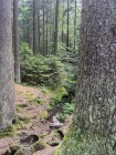 Geologická exkurze žáků 9. ročníku