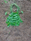 Projektový den Wellbeing Projektový den Wellbeing