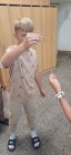Tři, dva, jedna, START!
