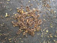 Jen tak v I.oddělení