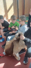 Program: Myslivost