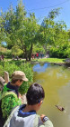 Výlet ZOO Dvůr Králové nad Labem