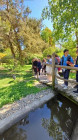 Výlet ZOO Dvůr Králové nad Labem