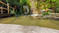 Výlet ZOO Dvůr Králové nad Labem