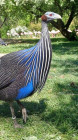 Výlet ZOO Dvůr Králové nad Labem