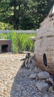 Výlet ZOO Dvůr Králové nad Labem