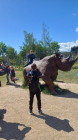 Výlet ZOO Dvůr Králové nad Labem