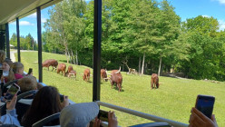 Výlet ZOO Dvůr Králové nad Labem