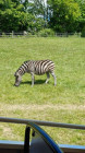 Výlet ZOO Dvůr Králové nad Labem