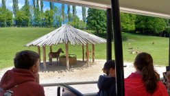 Výlet ZOO Dvůr Králové nad Labem