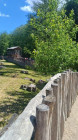 Výlet ZOO Dvůr Králové nad Labem