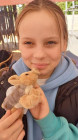 Výlet ZOO Dvůr Králové nad Labem
