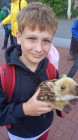 Výlet ZOO Dvůr Králové nad Labem