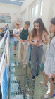 Návštěva výstavy výtvarných prací žáků ZUŠ
