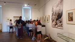 Muzeum Výstava pravěku