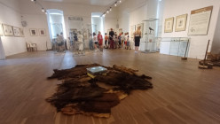 Muzeum Výstava pravěku