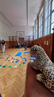 Škola hrou s Pedagogickou školou
