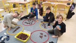 Projektový den  - Kaštany
