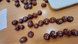 Projektový den  - Kaštany