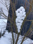Sněhové instalace - výtvarná výchova distančně Sněhové instalace - výtvarná výchova distančně