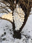 Sněhové instalace - výtvarná výchova distančně Sněhové instalace - výtvarná výchova distančně