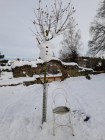 Sněhové instalace - výtvarná výchova distančně Sněhové instalace - výtvarná výchova distančně