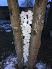 Sněhové instalace - výtvarná výchova distančně Sněhové instalace - výtvarná výchova distančně