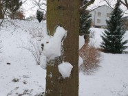 Sněhové instalace - výtvarná výchova distančně Sněhové instalace - výtvarná výchova distančně