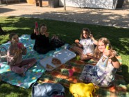 Piknik