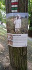 Výstava na stromech