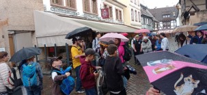 Poznávací zájezd do Štrasburku