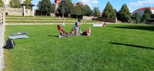Férový piknik Férový piknik