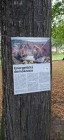 Výstava na stromech opět na Olivetské hoře