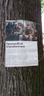 Výstava na stromech opět na Olivetské hoře