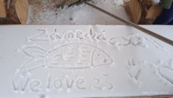 Projektový den Zelený život na modré planetě