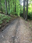 Červnový tajný cyklovýlet