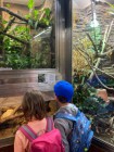 Výlet ZOO Olomouc