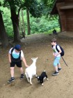 Výlet ZOO Olomouc