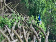 Výlet ZOO Olomouc