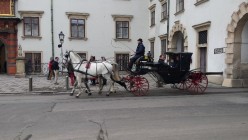 Poznávací zájezd do Vídně