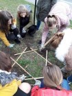 Projekt Krokus