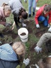 Projekt Krokus