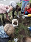 Projekt Krokus