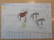 Zvířecí rodiny - Vv