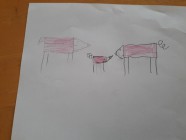 Zvířecí rodiny - Vv