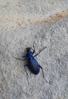 Geologické exkurze žáků 9. ročníku