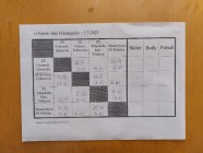 První místo v okresním kole ve vybíjené