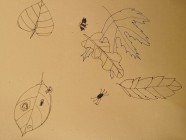 Projektový den
