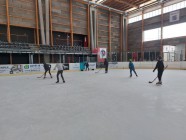 Bruslení